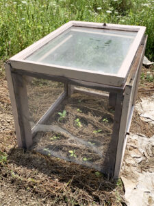 DIY Greenhouse